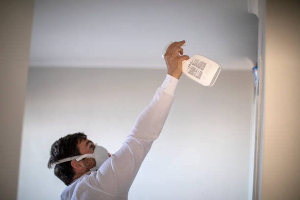 Mold Removal Process in Wolf Lake, MI