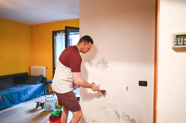 Best Best Mold Removal Companies  in Wolf Lake, MI